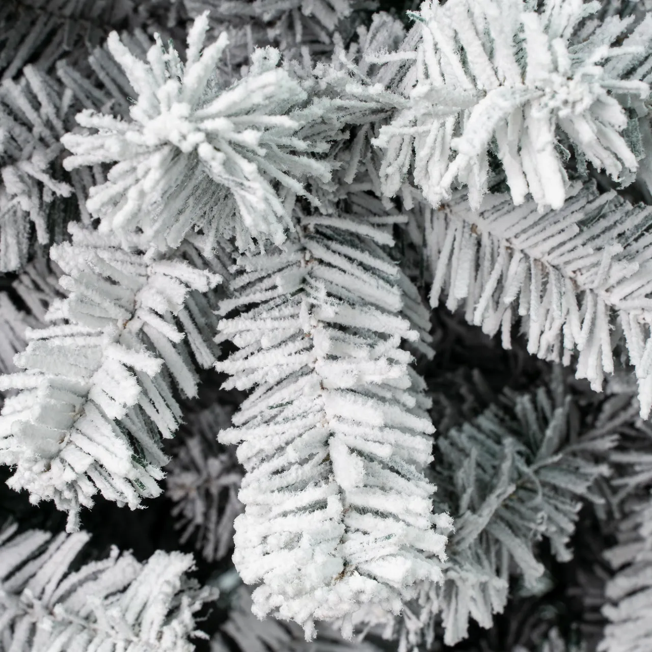 New National Tree Company 6 ft. Acacia Pencil Slim Flocked Tree