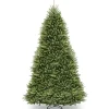 Discount National Tree Company 14 ft. Dunhill Fir Tree