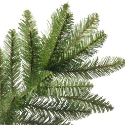 Outlet National Tree Company 10 ft. Kingswood Fir Pencil Slim Tree