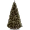 Online National Tree Company 12 ft. North Valley Spruce Tree