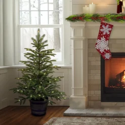 Hot National Tree Company 4 ft. Norwegian Spruce Entrance Tree with Clear Lights