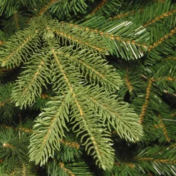 Sale National Tree Company 7.5 ft. Norwegian Spruce Tree