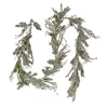 Online National Tree Company 9 ft. Pre-Lit Snowy Twig Garland with Warm White LED Rice Lights