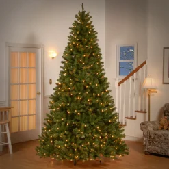 Sale National Tree Company 9 ft. Pre-Lit Aberdeen Blue Spruce Tree with Light Parade LED Lights