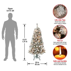 Hot National Tree Company 4.5 ft. Pre-Lit Acacia Flocked Tree with Clear Lights