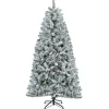 Discount National Tree Company 6 ft. Pre-Lit Acacia Flocked Tree with Clear Lights