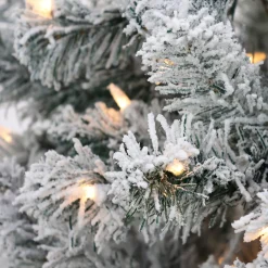 Discount National Tree Company 6 ft. Pre-Lit Acacia Flocked Tree with Clear Lights