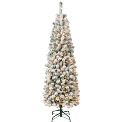 Hot National Tree Company 6 ft. Pre-Lit Acacia Pencil Slim Flocked Tree with Clear Lights