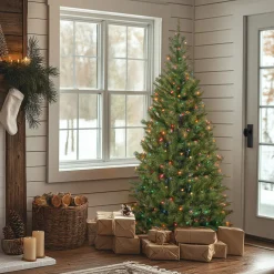 Hot National Tree Company 6 ft. Pre-Lit Aspen Spruce Slim Tree with Multicolor Lights