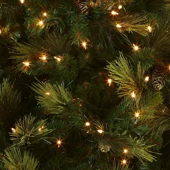 Sale National Tree Company 7 ft. Pre-Lit Carolina Pine Tree with Clear Lights