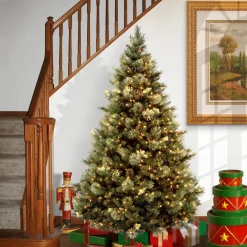 Sale National Tree Company 7 ft. Pre-Lit Carolina Pine Tree with Clear Lights