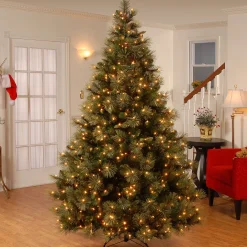 Discount National Tree Company 7.5 ft. Pre-Lit Carolina Pine Tree with 750 Clear Lights
