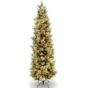 Hot National Tree Company 6.5 ft. Pre-Lit Carolina Pine Slim Tree with Clear Lights