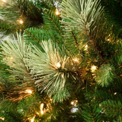 Sale National Tree Company 6 ft. Pre-Lit Charleston Pine Slim Tree with Clear Lights