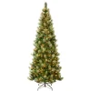 Online National Tree Company 9 ft. Pre-Lit Charleston Pine Slim Tree with Clear Lights