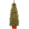Outlet National Tree Company 6 ft. Pre-Lit Colonial Collection Slim Tree with Clear Lights