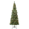 Hot National Tree Company 7.5 ft. Pre-Lit Cullen Slim Tree with Warm White LED Lights
