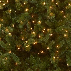 National Tree Company 6 ft. Pre-Lit Downswept Douglas Fir Tree with Clear Lights
