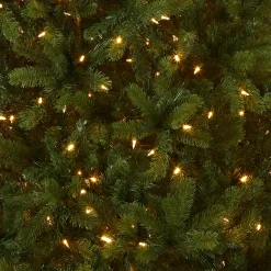 Outlet National Tree Company 6.5 ft. Pre-Lit Downswept Douglas Fir Tree with Dual Color LED Lights