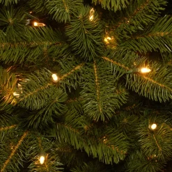 Sale National Tree Company 12 ft. Pre-Lit Downswept Douglas Fir Pencil Slim Tree with Dual Color LED Lights