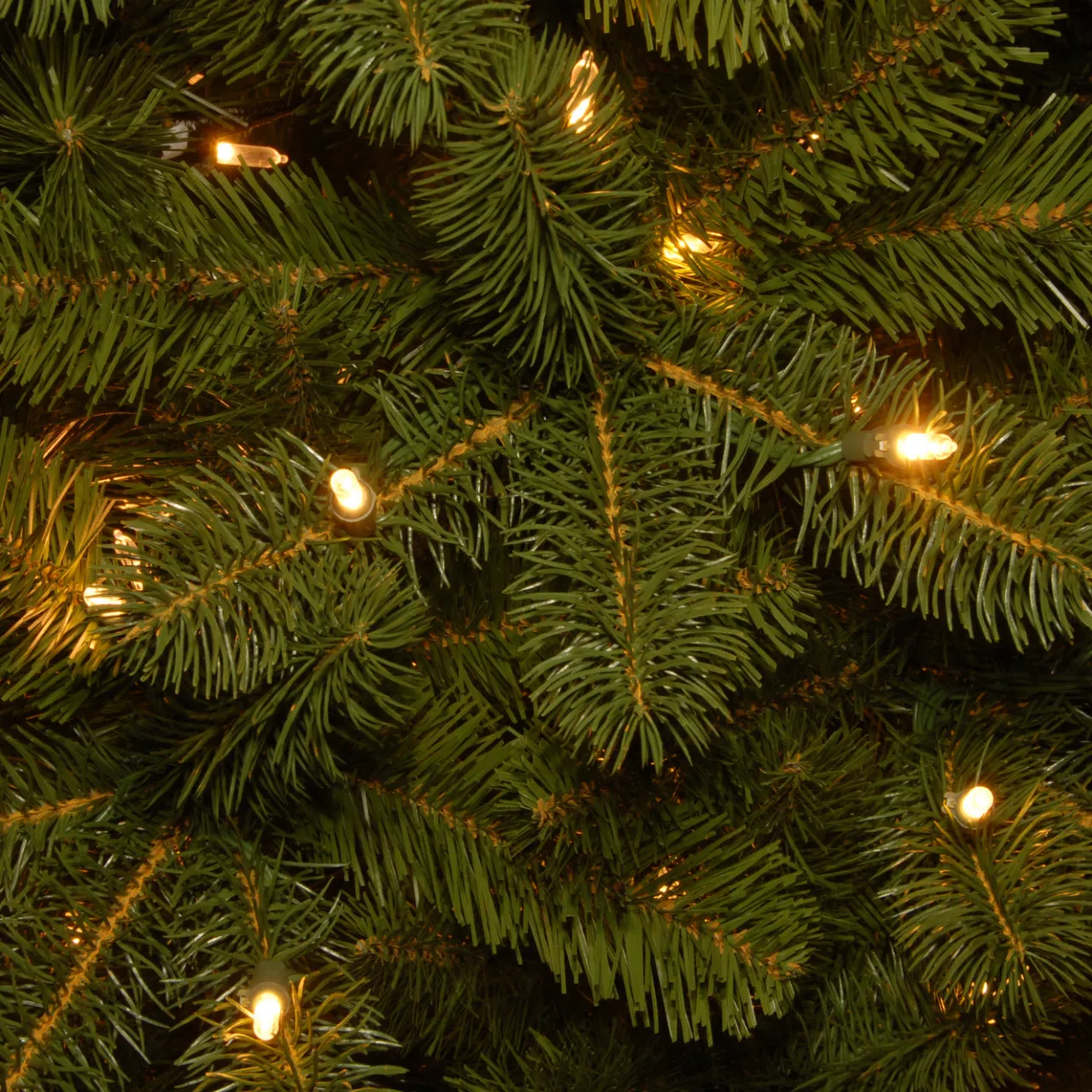 Sale National Tree Company 12 ft. Pre-Lit Downswept Douglas Fir Pencil Slim Tree with Dual Color LED Lights