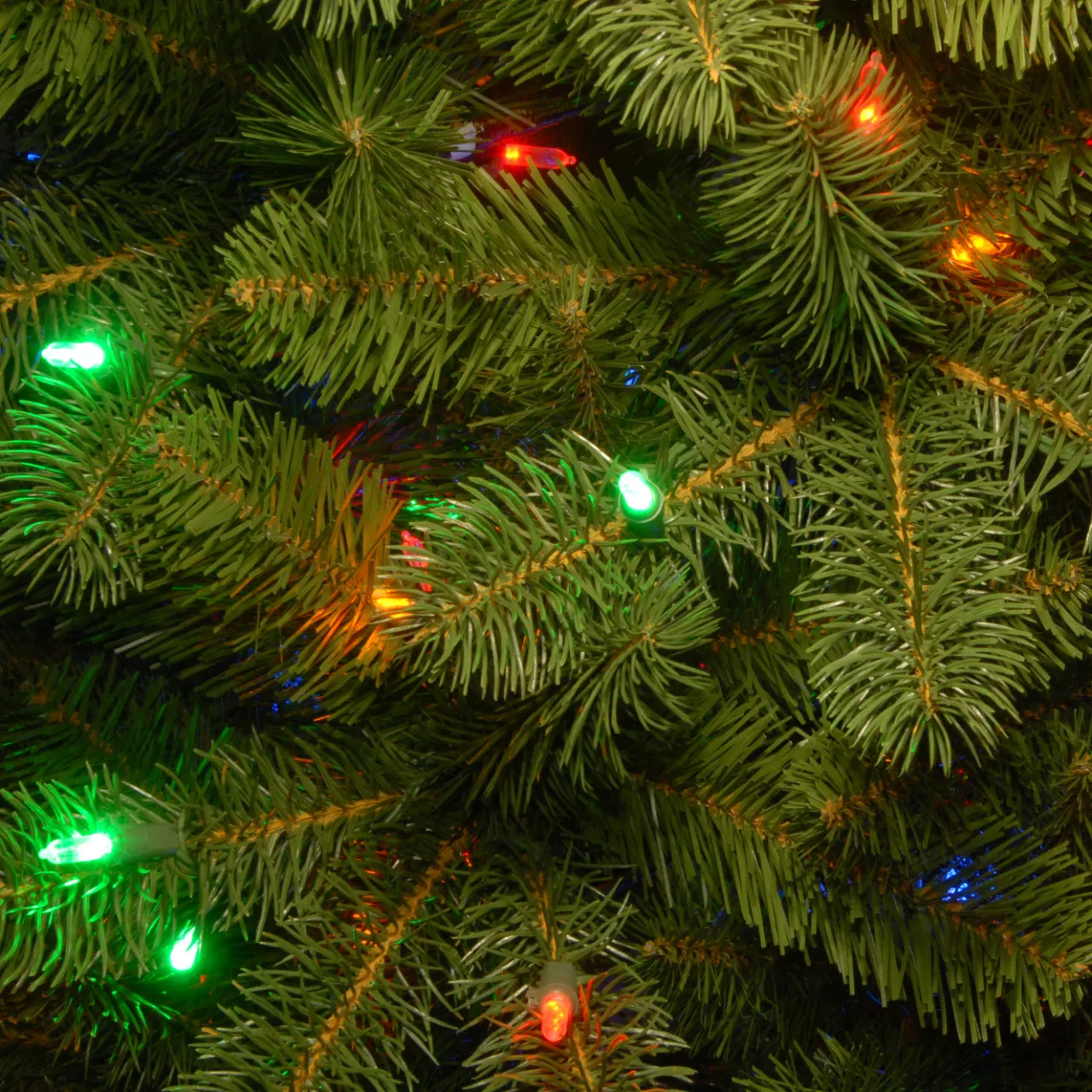 Sale National Tree Company 12 ft. Pre-Lit Downswept Douglas Fir Pencil Slim Tree with Dual Color LED Lights