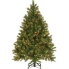 Best National Tree Company 4.5 ft. Pre-Lit Downswept Douglas Fir Tree with Clear Lights