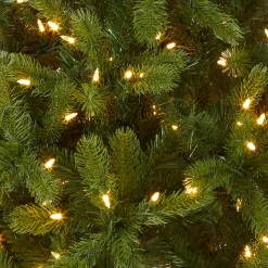 Hot National Tree Company 4.5 ft. Pre-Lit Downswept Douglas Fir Tree with Dual Color LED Lights