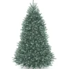 National Tree Company 7 ft. Pre-Lit Dunhill Blue Fir Tree with Clear Lights