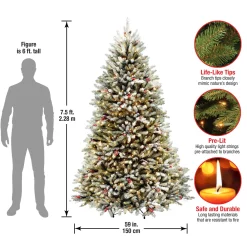 Discount National Tree Company 7.5 ft. Pre-Lit Dunhill Fir Flocked Tree with 750 Clear Lights