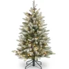 New National Tree Company 4.5 ft. Pre-Lit Dunhill Fir Frosted Tree with Clear Lights