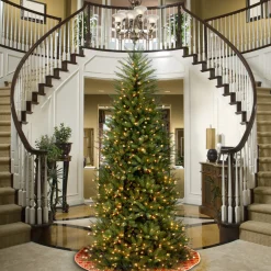 Sale National Tree Company 9 ft. Pre-Lit Dunhill Fir Slim Tree with Clear Lights