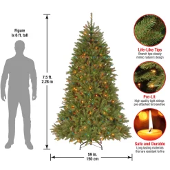 Clearance National Tree Company 7.5 ft. Pre-Lit Dunhill Fir Tree with Multicolor Lights