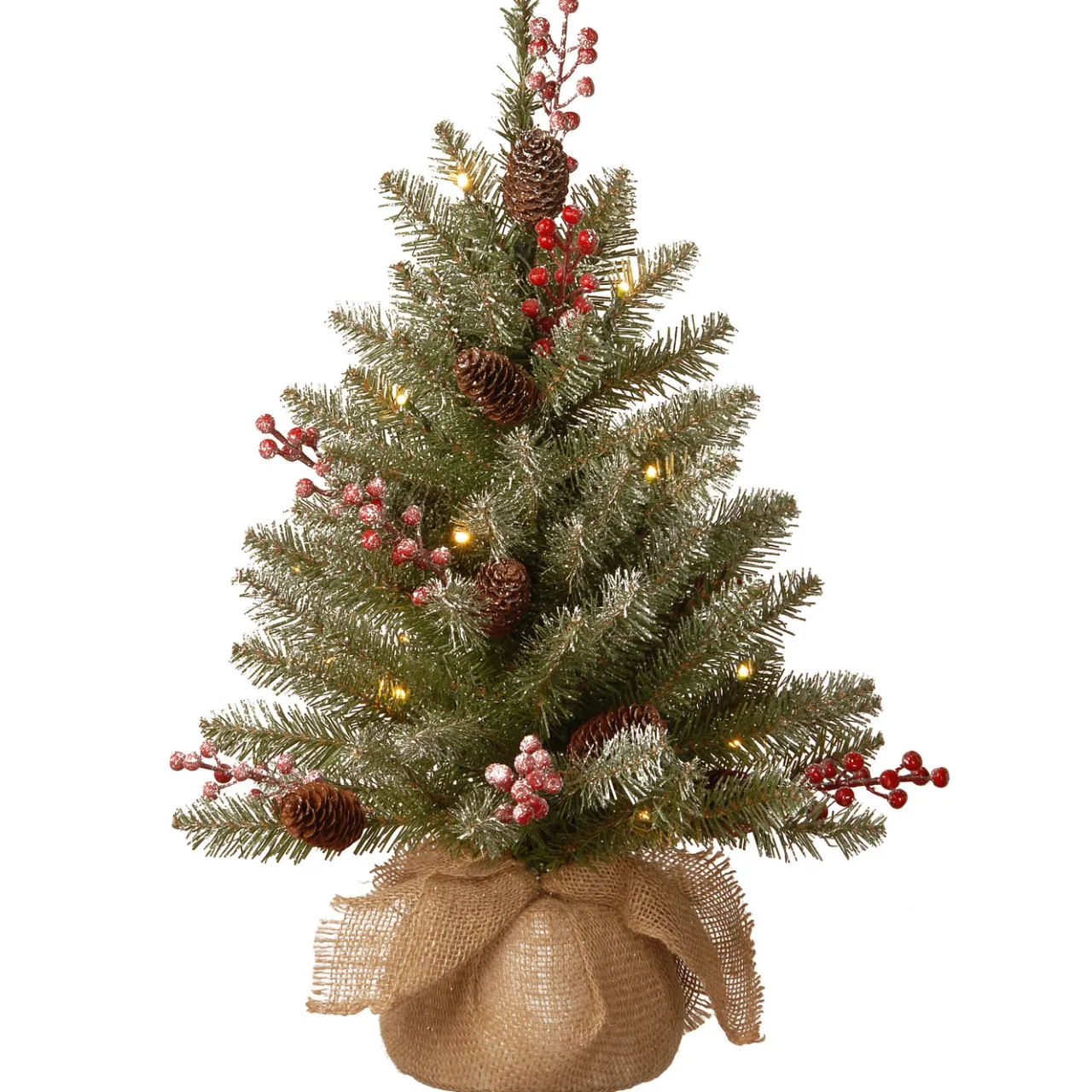 National Tree Company 2 ft. Pre-Lit Dunhill Fir Tree with LED Lights
