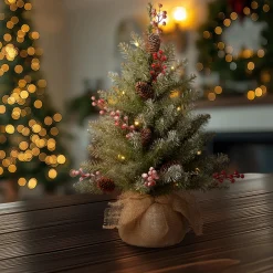 National Tree Company 2 ft. Pre-Lit Dunhill Fir Tree with LED Lights