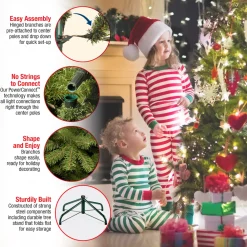 National Tree Company 9 ft. Pre-Lit Dunhill Fir Tree with PowerConnect Clear Lights