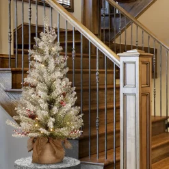 Sale National Tree Company 3 ft. Pre-Lit Dunhill Fir Tree with Warm White LED Lights