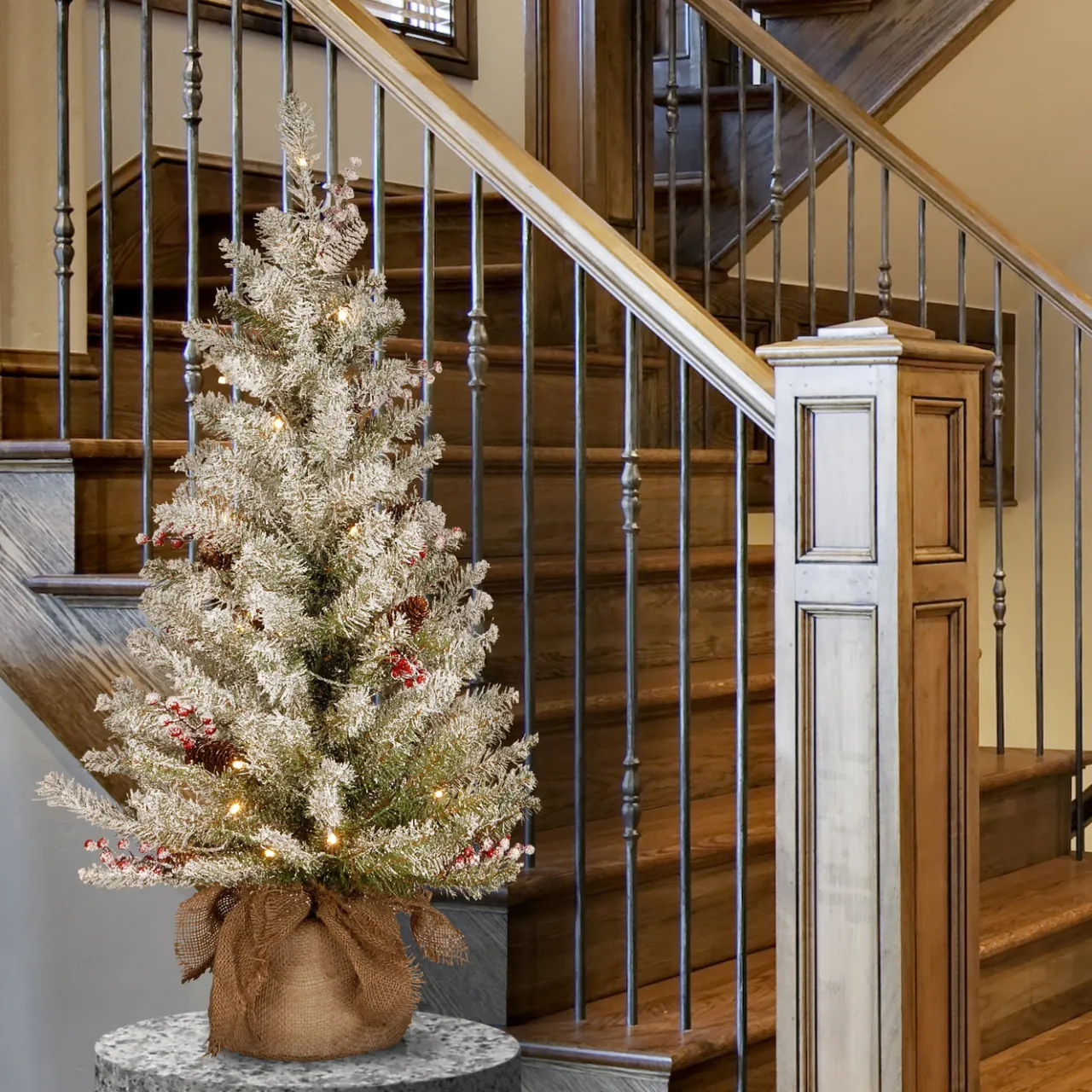 Sale National Tree Company 3 ft. Pre-Lit Dunhill Fir Tree with Warm White LED Lights