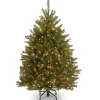 Sale National Tree Company 4 ft. Pre-Lit Dunhill Fir Tree with Clear Lights