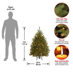 Sale National Tree Company 4 ft. Pre-Lit Dunhill Fir Tree with Clear Lights