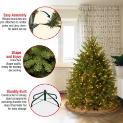 Sale National Tree Company 4 ft. Pre-Lit Dunhill Fir Tree with Clear Lights