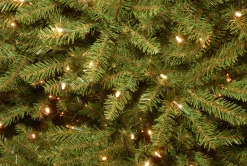Clearance National Tree Company 12 ft. Pre-Lit Dunhill Fir Tree with PowerConnect Dual Color LED Lights