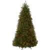 Clearance National Tree Company 6.5 ft. Pre-Lit Dunhill Fir Tree with Multicolor Lights