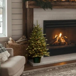 Best National Tree Company 3 ft. Pre-Lit Everyday Collection Tree with Clear Lights