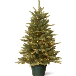 Best National Tree Company 3 ft. Pre-Lit Everyday Collection Tree with Clear Lights