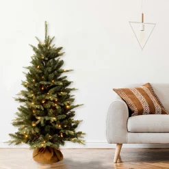 Discount National Tree Company 4 ft. Pre-Lit Everyday Collection Tree with Clear Lights