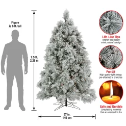 National Tree Company 7.5 ft. Pre-Lit Flocked Bavarian Pine Tree