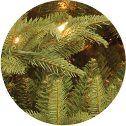 Best National Tree Company 7.5 ft. Pre-Lit Fraser Grande Tree with Clear Lights