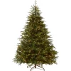 Outlet National Tree Company 6 ft. Pre-Lit Fraser Grande with Dual Color LED Lights