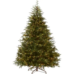 Outlet National Tree Company 6 ft. Pre-Lit Fraser Grande with Dual Color LED Lights